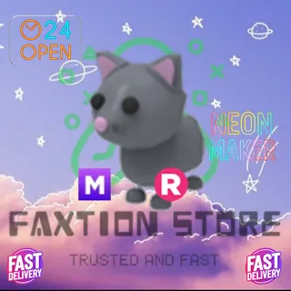 MR Cat
