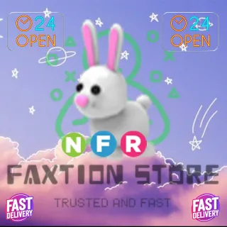 NFR Bunny