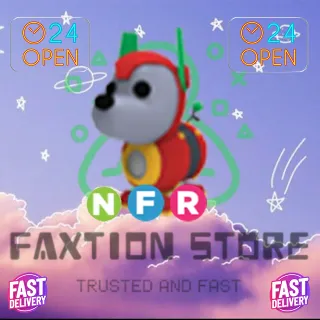 NFR Robo Dog