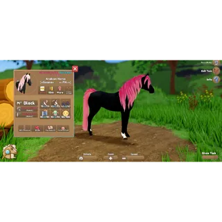 Wild Horse Islands Arabian | Available Stock in the picture | Do not buy this| DM for custom order (minimum 1 horse)
