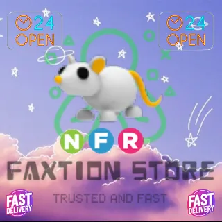 NFR Golden Rat