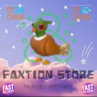 Brown-Chested Pheasant