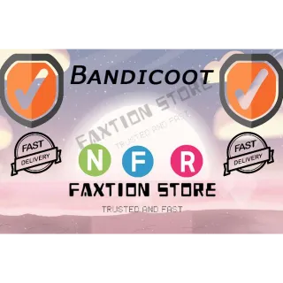 NFR Bandicoot