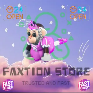 Princess Capuchin Monkey