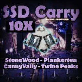 Fortnite STW 10X SSD