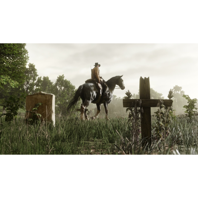 Red Dead Redemption 2 (PC) Steam Account GLOBAL Steam Games Gameflip