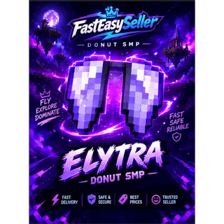 Elytra Donut SMP