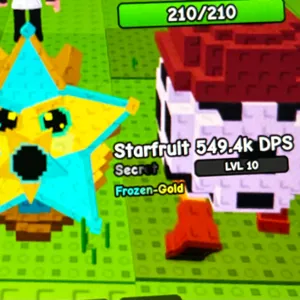 549.4K STARFRUIT