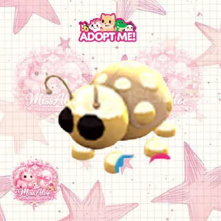 1X FLY RIDE GOLDEN LADYBUG || Adopt Me!