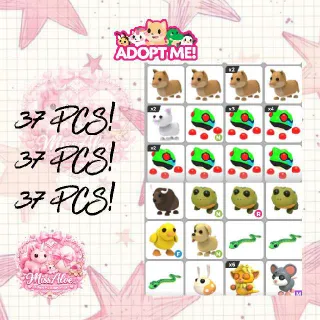 37 PCS BUNDLE PET || ADOPT ME!