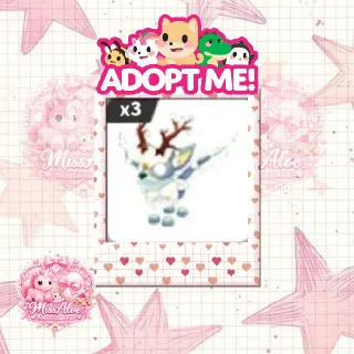 3x Fully Grown Christmas Spirit