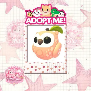 Peach Owl || Adopt Me!