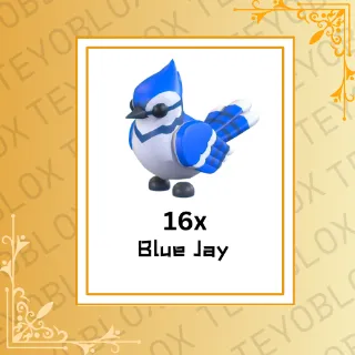 Blue Jay 16x