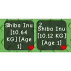 2X TITANIC SHIBA 10KG BASE