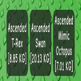 3X COOL ASCENDED PETS