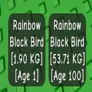 2X RB HATCHED BLACK BIRD