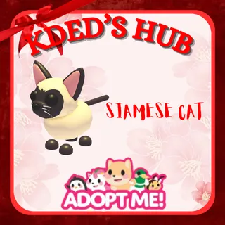 SIAMESE CAT - ADOPT ME