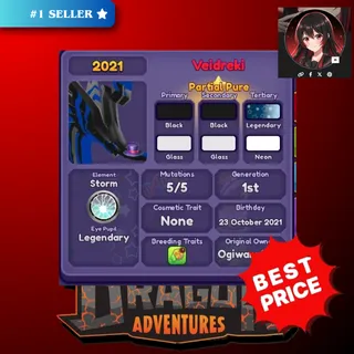 2021 VEIDREKI - DRAGON ADVENTURES
