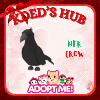 NFR CROW - ADOPT ME