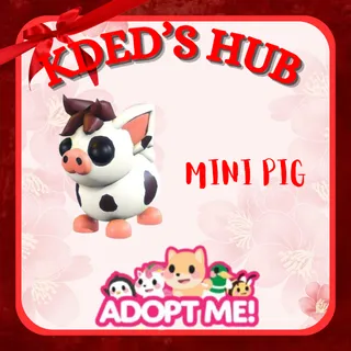 MINI PIG - ADOPT ME