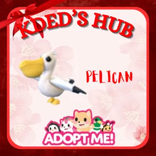 PELICAN - ADOPT ME