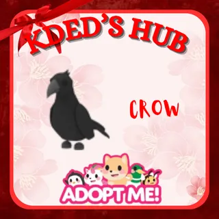 CROW - ADOPT ME