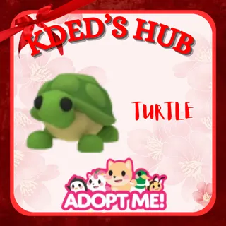 TURTLE - ADOPT ME