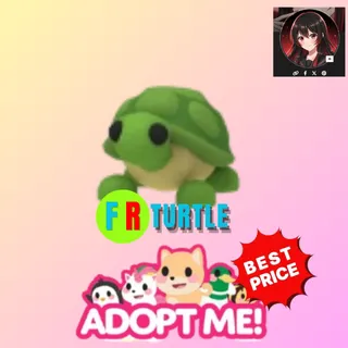 TURTLE - ADOPT ME