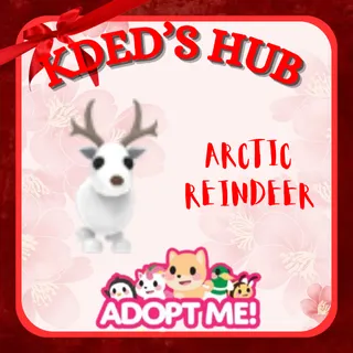 ARCTIC REINDEER - ADOPT ME