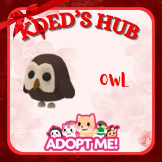 OWL - ADOPT ME