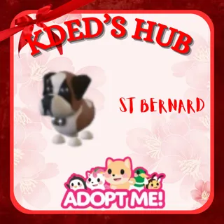 ST BERNARD - ADOPT ME