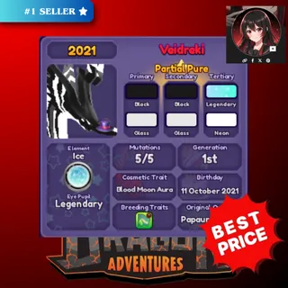 2021 VEIDREKI - DRAGON ADVENTURES