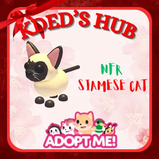 SIAMESE CAT - ADOPT ME