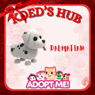 DALMATIAN - ADOPT ME