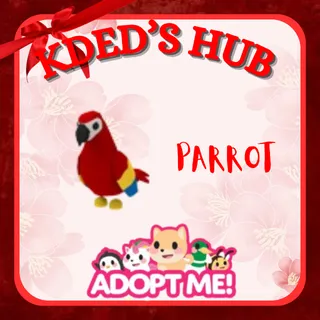 PARROT - ADOPT ME
