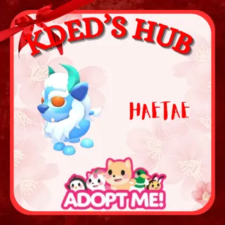 HAETAE - ADOPT ME 