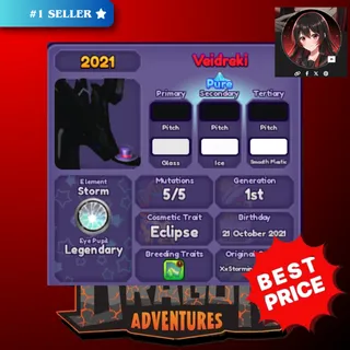 2021 VEIDREKI - DRAGON ADVENTURES