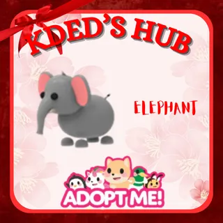 ELEPHANT - ADOPT ME