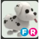 FR Dalmatian