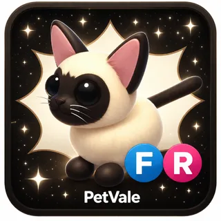 FR Siamese Cat