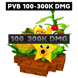 PVB 100-300K DMG