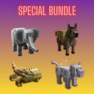 SPECIAL BUNDLE