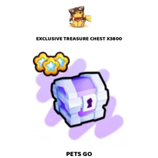 EXCLUSIVE TREASURE CHEST