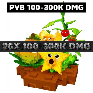 PVB 100-300K DMG