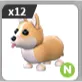 12x N Reborn Corgi