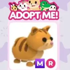 ADOPT ME | MR ginger cat