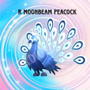 R Moonbeam Peacock - AM