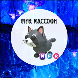 MFR Raccoon - Adopt Me