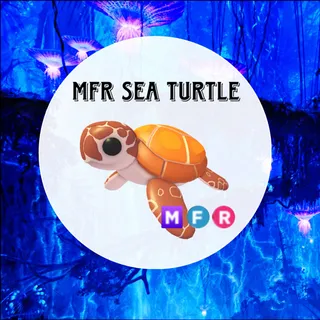 MFR Sea Turtle - AM