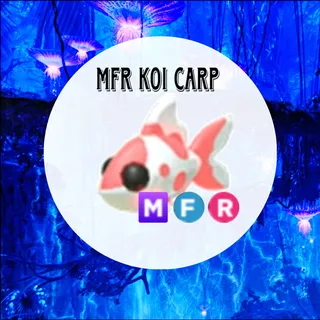 MFR Koi Carp - AM